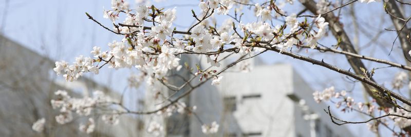 365英国上市官网在线学术型研究...